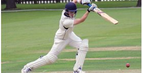 Cricket